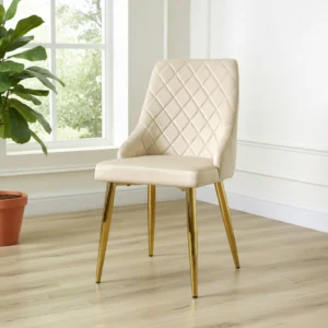 Modern dining seats with cushioned upholstery and sturdy frame