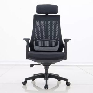 Premium ergonomic office chair with adjustable height, tilt, and lumbar support