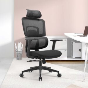 Ergonomic mesh high back office chair with lumbar support and swivel base.