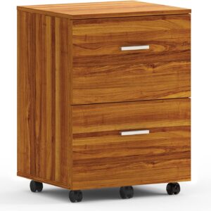 2-drawer mobile pedestal with casters, lockable top drawer, and spacious storage for office use.